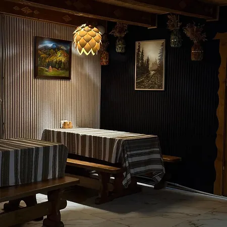 Отель водограй Ворохта