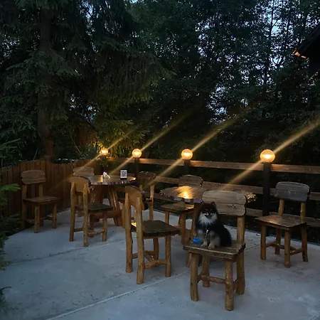 водограй Отель Ворохта