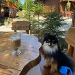 водограй 호텔 보로크타